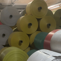 Rouleaux de tissu tissé en PP 80-240 g/m² résistants à l'humidité, taille et couleur personnalisées avec impression offset pour sacs de riz, maïs, blé, marque ZHIYE