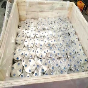 Thép không gỉ mặt bích mù mặt bích <span class=keywords><strong>ASTM</strong></span> <span class=keywords><strong>A182</strong></span> lớp <span class=keywords><strong>F316</strong></span> ASME nâng lên mặt ASME b16.5 - Product Image 4