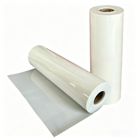 Lámina de Película PET Mylar para Transformadores, Precio de Fábrica, 6020 Transparente, Película de Aislamiento para Motores, 6021 Blanco Lechoso, Película de Poliéster PET