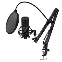 Kit BM800 Avec Carte Son – Microphone Stéréo à Condensateur BM800 Pour Karaoké, Podcast et Streaming en Direct