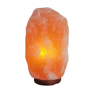Hot Selling Pink Himalayan Salt Table Lamp Carved Natural Rock Crystal with Dimmer Switch Feng Shui Style for Love Fairy Theme