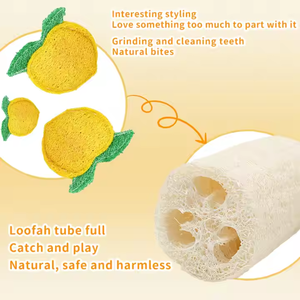 Juguete de Esponja de Lufa Natural para Gatos, para Entrenamiento, Limpieza de Dientes y Calmante, para Uso en Interiores y Exteriores - Product Image 4