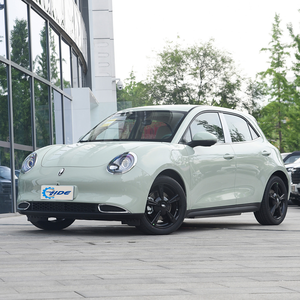 Great Wall Euler Good Cat 2024 todas las versiones coches eléctricos buen precio - Product Image 4