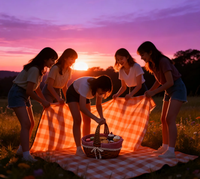 Panier cadeau vintage en rotin tressé PP écologique 2026 de Chine avec poignée pour présentation de gâteaux/fruits/en-cas, idéal pour le camping en extérieur ou les fêtes