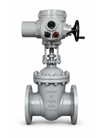 Vanne à opercule électrique en acier au carbone WCB DN250 10 pouces PN25 à brides pour automatisation industrielle des pipelines
