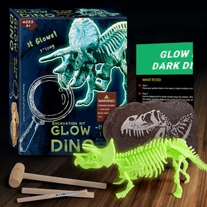 Hot Sell Dig Speelgoed Complete Set Tools Graven Dino Skelet Glow In De Donkere Triceratops Opgravingsset