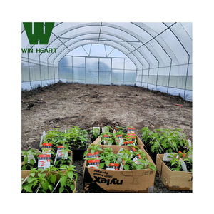 <span class=keywords><strong>Serres</strong></span> tunnels traitées aux UV, structures de <span class=keywords><strong>serres</strong></span> commerciales, <span class=keywords><strong>serres</strong></span> pour la culture biologique de <span class=keywords><strong>tomates</strong></span>, <span class=keywords><strong>serres</strong></span> en Chine - Product Image 3