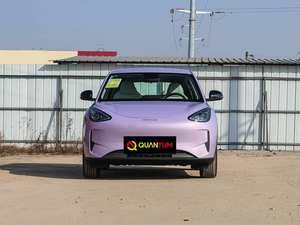 Geely Xingyuan Série 2026, Confort de Conduite Optimal, Direction Stable, Accélération Puissante, Idéal pour les Commuters Urbains et les Jeunes Conducteurs - Product Image 2