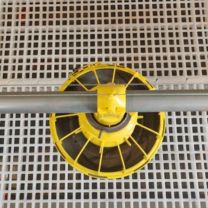 Sistema Automático de Alimentación de Pollos de Alta Resistencia con Línea de Alimentación por Cadena para Granjas Avícolas Comerciales de Pollos de Engorde - Product Image 5