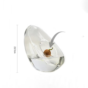 <span class=keywords><strong>Vase</strong></span> en verre hydroponique pour <span class=keywords><strong>avocat</strong></span> japonais, <span class=keywords><strong>vase</strong></span> de plantation spécifique aux graines, récipient hydroponique pour noyaux de fruits - Product Image 5