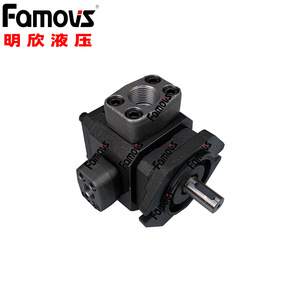 Pompe hydraulique à engrenages Famovs 16L, pompe de surpression quantitative pour usage industriel - Product Image 5