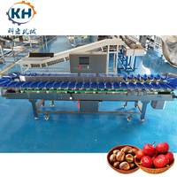 Weegsorteermachine voor dozen, geschikt voor diepvries kippenpoten, -vleugels en ander pluimveeproduct, automatische gewichtsclassificatie