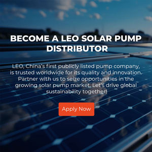 <span class=keywords><strong>Pompe</strong></span> submersible pour forage LEO 4LDP9-45-110-750 DC en acier inoxydable, <span class=keywords><strong>pompe</strong></span> à eau solaire submersible à haut débit pour l'irrigation des fermes - Product Image 6