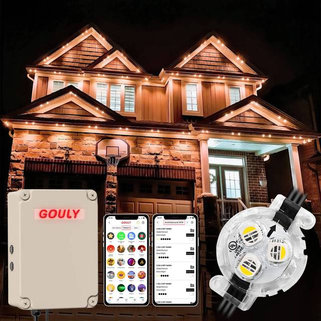 Led Pixel Rgb Tube Light 12v 24v 36v 48v Smart rainbow Led Permanent Outdoor Light Christmas Led Pixel Point Light
