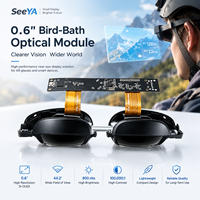 Module optique binoculaire de 0,6 pouce pour lunettes AR, moteur optique micro OLED pour affichage proche de l'œil