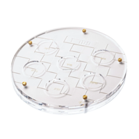 Plaque de Seder en acrylique transparent avec bord doré et étiquette hébraïque, décoration de table moderne Judaica pour la fête juive Pessa'h
