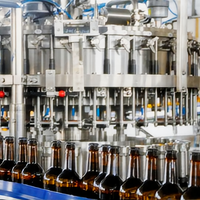Machine de remplissage de bouteilles de bière en acier inoxydable haute efficacité, prête à être expédiée, vente en gros, approuvée CE