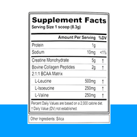 Créatine monohydrate en poudre, marque privée, complément post-entraînement, énergie, BCAA, électrolytes