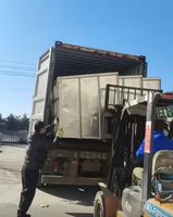 Commerciële Automatische Bonenspruitverwerkingsmachine Mung Bean Spruitreinigingsapparatuur Voor Het Ontkiemen Van Bonen