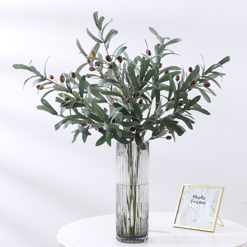 green bubble plants Peperomia 'Green Bubble' | Plants