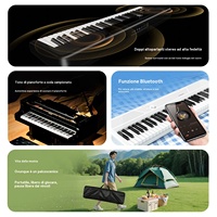 TERENCE TS04 Home Piano, Electronic Keyboard Piano with Standard Piano Keys for Practice