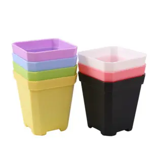 Vaso de planta em vaso para decoração, pequeno vaso quadrado para plantas suculentas para decoração de jardim, potes de flores, mini plástico p272 cores de doces opp