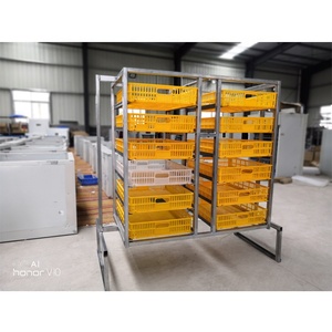 Máy Ấp Trứng Tự Động Bằng Điện Đa Năng Giá Và Máy Ấp Trứng Cho Chuột Lang Giá - Product Image 6