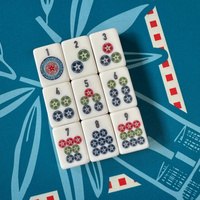 Tuiles de Mahjong en Acrylique Blanc Ivoire Seabird, Motifs Grue, Bambou, Dragon, Joker, Vents, Ensemble de Tuiles de Mahjong Américain Bilingue