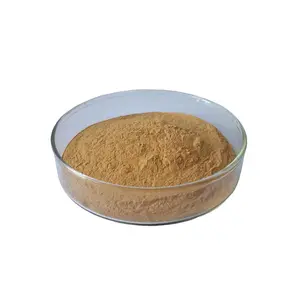 50% Epigallocatechin Gallate EGCG Natural Ingredient 98% Green Tea Extract Powder