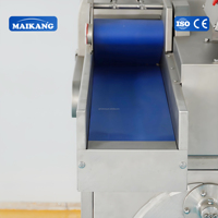 Multifunctionele fruit- en groentesnijmachine SUS304 commerciële snijmachine, schaafmachine en reepjes-snijder voor aardappel, wortel, ui en kool
