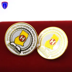 Custom Metal Enamel Flower Design Brooch Badge Hard Enamel Gold Pin For Health Students Association