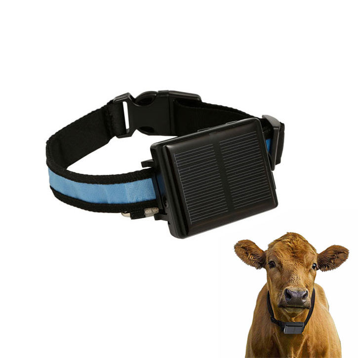 cow tracking collar