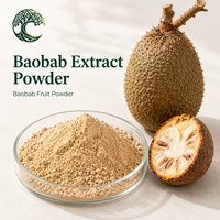 Natuurlijk Baobab Fruitpoeder Adansonia Digitata Voedingsmiddelkwaliteit Fruitpoeder
