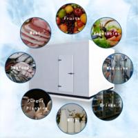 Cámara Frigorífica Automática de Alta Eficiencia para Motores, Mini, de Tamaño Personalizado, con Voltaje Adaptado, para Almacenamiento en Frío de Mariscos y Bases de Cría