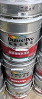 Dulux Couche Intermédiaire Élastique pour Mur Extérieur