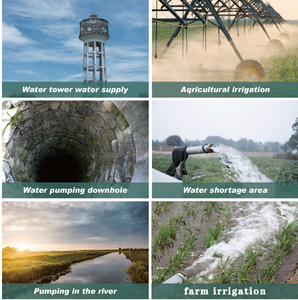 गहरे कुएं 240 वी प्रवाह दर 0-6 मीटर के लिए गहरी अच्छी तरह से पंप जल पम्प जल पम्प जल पम्प पानी पंप - Product Image 6