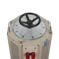 Stabilisateur de tension à contact Variac Autotransformateur monophasé AC en cuivre série TDGC 500VA, haute efficacité 96%