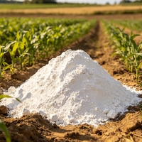Prix d'usine : Poudre de chaux hydroxide de calcium à 90 % pour l'amélioration des sols agricoles