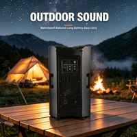 Haut-parleur PA actif DSP 15 pouces Vantas-157DSP, amplificateur de classe D 2200W de puissance maximale, haut-parleur audio professionnel pour scène, mariage, concert
