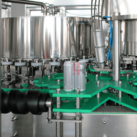 Ligne de production clé en main pour le remplissage de canettes de bière, usine de mise en conserve automatique de canettes en aluminium pour sodas et bières gazeuses, PLC