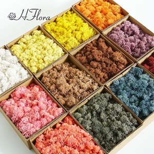 HFloral Vente en Gros – Boîte de 200g de Panneaux de Mousse Éternelle Verte Préservée pour Décoration Murale de Restaurant et Hôtel, Saint-Valentin, Longue Durée (3-5 ans) - Product Image 1