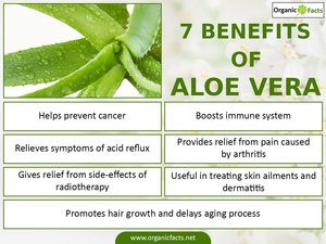 化粧品グレード天然アロエベラジェル100倍200倍抽出粉末スプレー乾燥凍結アロエベラパウダー - Product Image 3