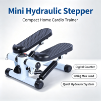 Mini stepper hydraulique compact avec affichage numérique, entraîneur cardio silencieux pour intérieur, capacité de poids de 100 kg, poids net de 6 kg