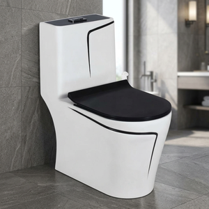 WC monobloc en céramique WaterMark australien, siphon en P, finition noir doré brillant, Chaozhou, à chasse directe - Product Image 4