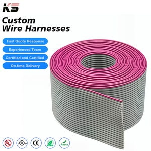 Özel Düz Şerit Kablo Özel 3m 20 40 64 Pin 2mm Aralıklı Idc 1.27 2.54 Esnek Düz Şerit Idc Kablo - Product Image 1