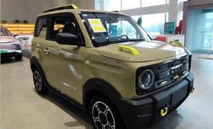 Offre Spéciale GEELY Panda Mini EV 4 sièges mignon petite voiture électrique pas cher pour adulte Transport quotidien 120km Kerala Nigeria - Product Image 3
