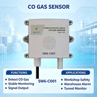 Sensor de Monóxido de Carbono CO IoT SW6CO01, Montaje en Pared, RS485 Modbus RTU, Concentración, IP68 Impermeable, Industria, Agricultura
