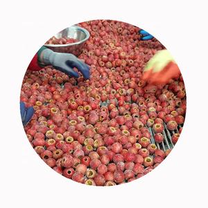 Yeni dondurulmuş iş mağaza koşer toplu tarzı depolama ambalaj ambalaj <span class=keywords><strong>Fructus</strong></span> <span class=keywords><strong>crataegi</strong></span> meyve dondurulmuş alıç berry - Product Image 5