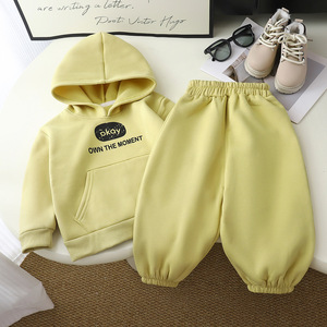 Conjunto <span class=keywords><strong>de</strong></span> Sudadera <span class=keywords><strong>de</strong></span> Forro Polar para Niños, Otoño Invierno 2025, Traje Deportivo para Niños, Pantalones Deportivos Gruesos con Capucha para Niñas - Product Image 2