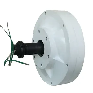 Disc Free Energy Magnet Motor Generator 1000W 1Kw 300Rpm Low Rpm Coreless Generator For Vertical Axis Wind Turbine Generator